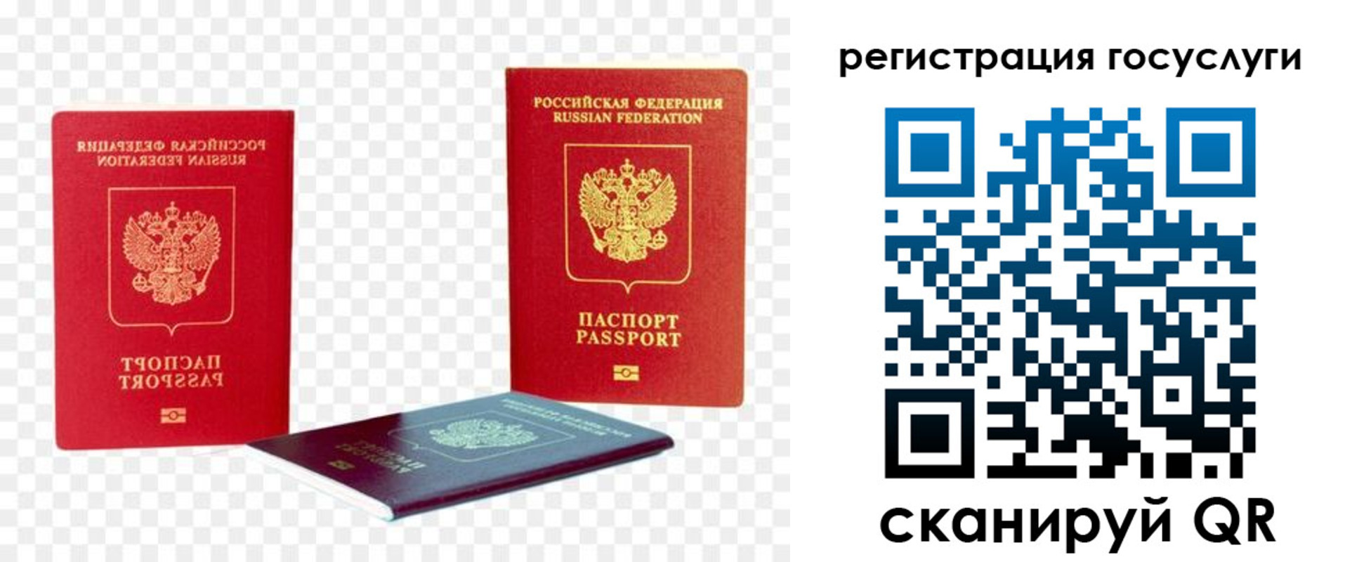 временная регистрация гарантия в Мурманске